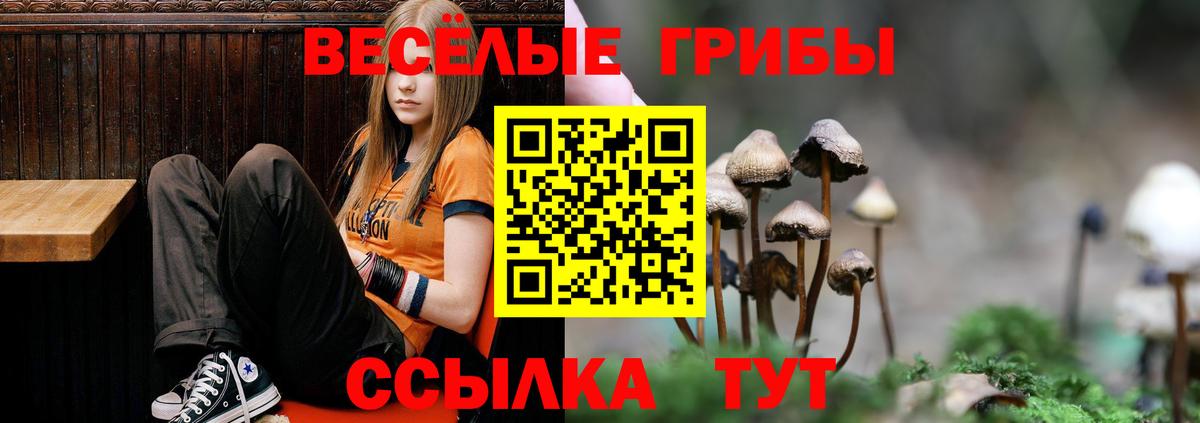 Фурманов  Псилоцибиновые грибы ЛСД  Псилоцибиновые грибы Cubensis  Вход с VPN 